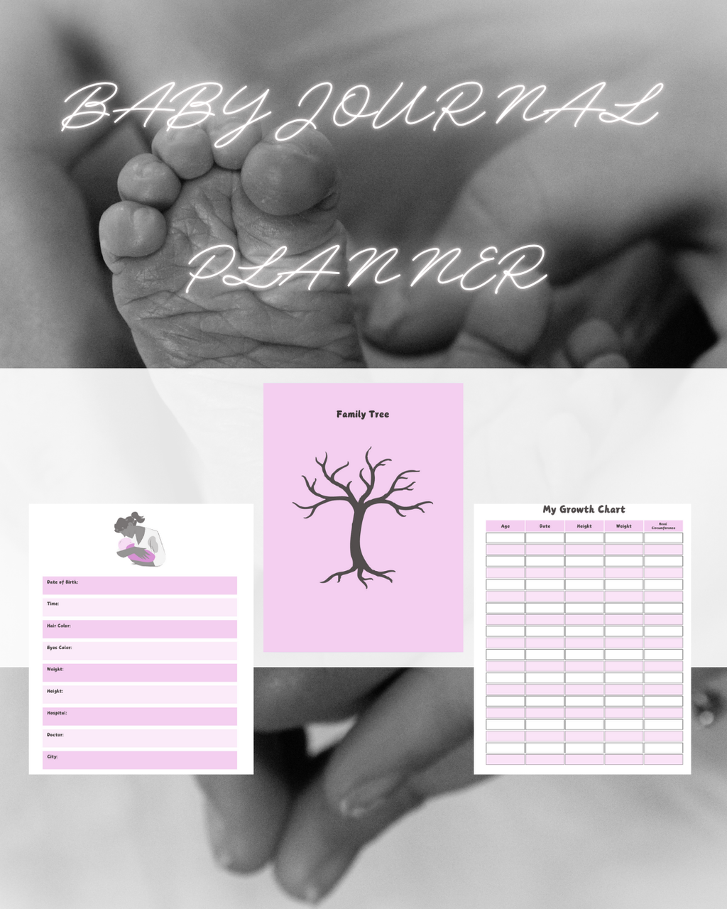 MLR / PLR Resale Passive Income Bundle