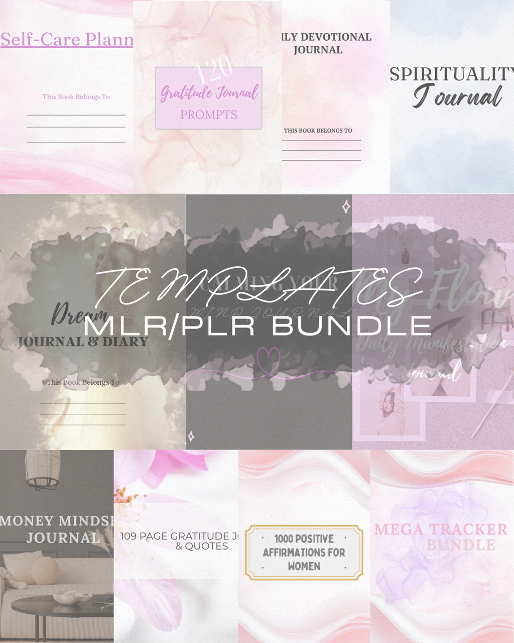 MLR / PLR Resale Passive Income Bundle