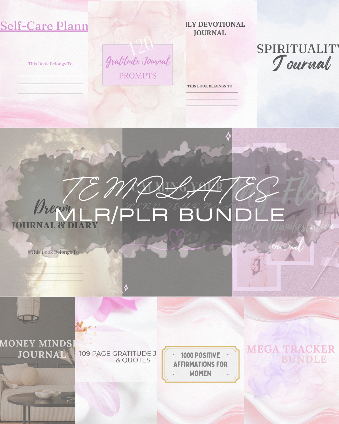 MLR / PLR Resale Passive Income Bundle