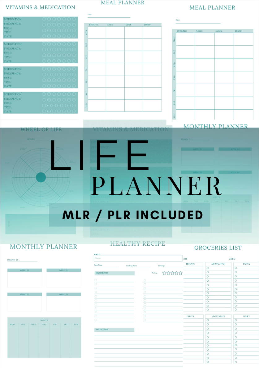 MLR / PLR Resale Passive Income Bundle